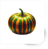 Thumbnail for Striped Green Orange Pumpkin Sticker | Realistic Watercolor Gourd Vinyl Decal | Fall Harvest Gift