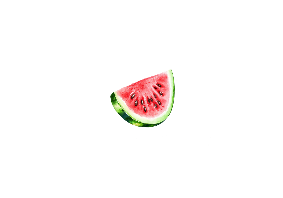 Watermelon Slice Throw Pillow | Watercolor Summer Fruit Decorative Pillow | Kids Room Picnic Gift